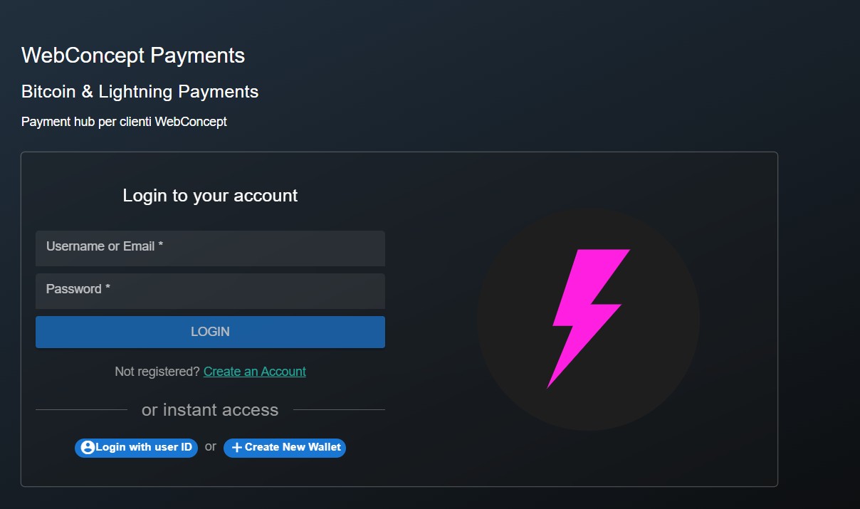 WebConcept Payments Screenshot